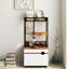 Armoire pour litière American Design