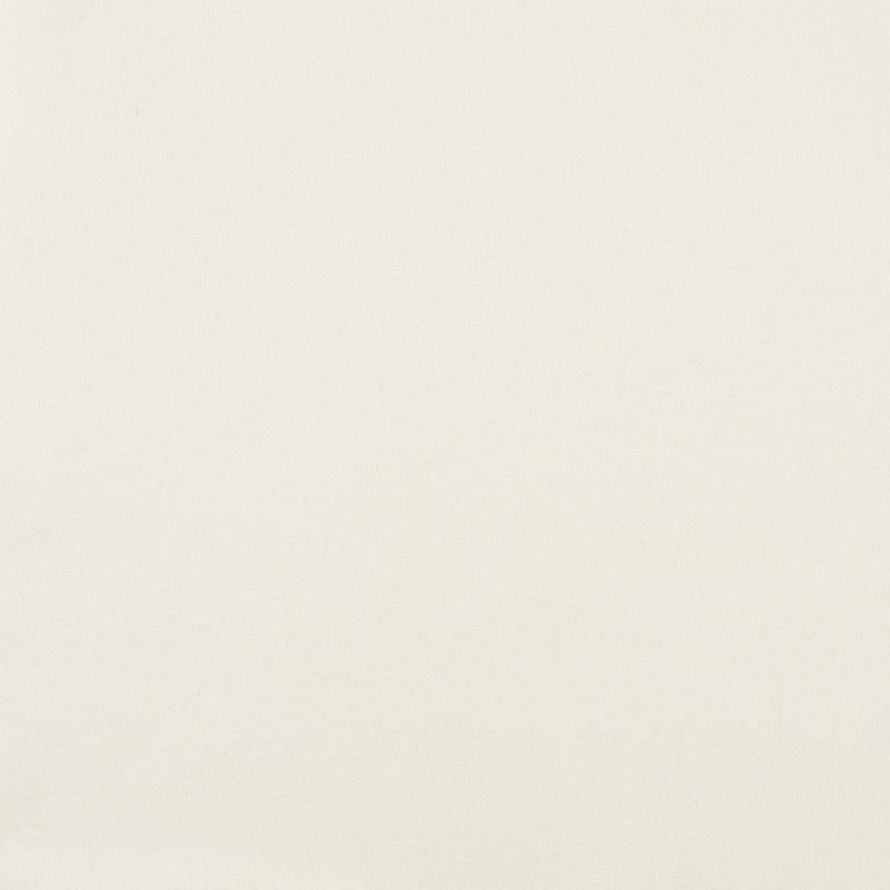 Seashells Fabric - Solid Cream, Cream