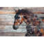 « Fire Horse » d'Irena Orlov - impression sur toile-389354958-286054756-392356540