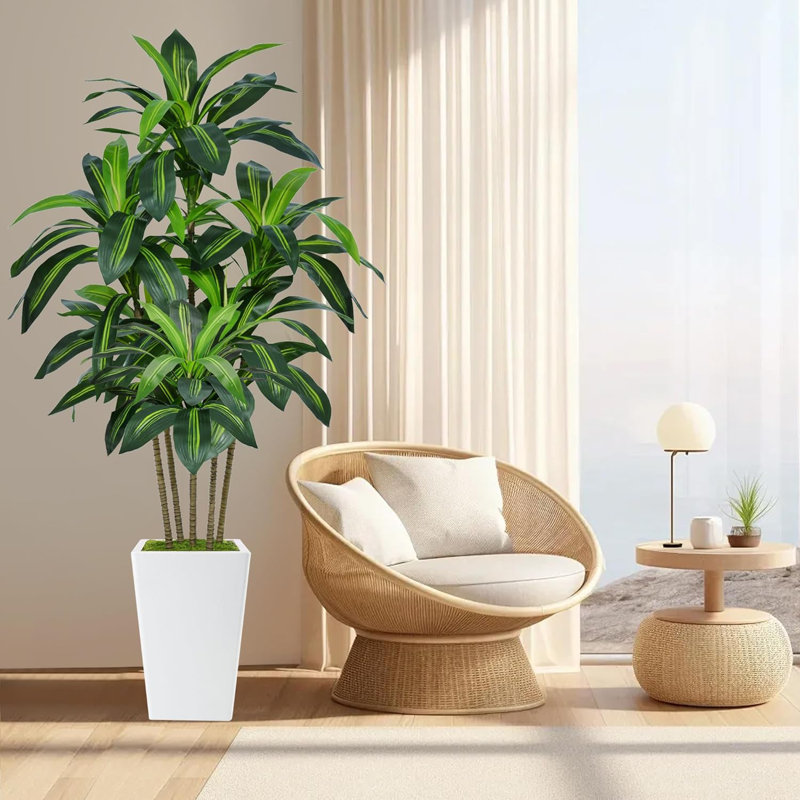 6FT Artificial Dracaena Tree