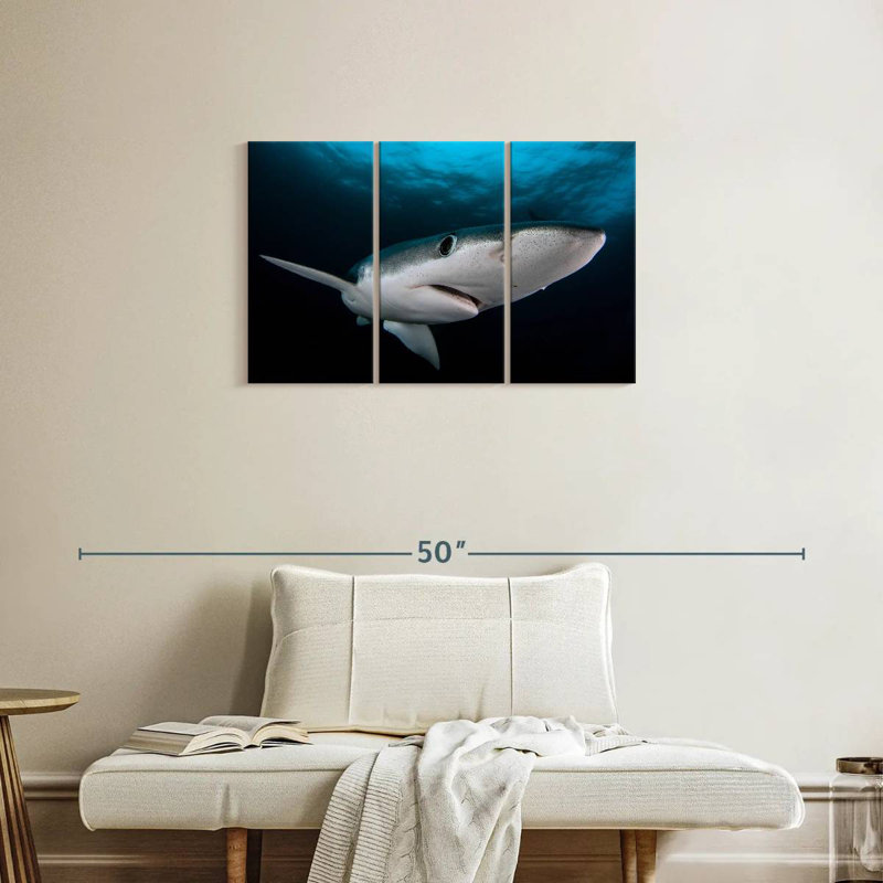 Brampt Underwater Blue Shark, 20" H x 33" W