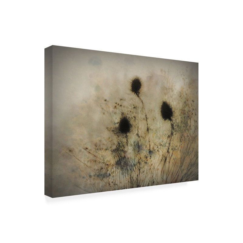 Katarina Holmstrom Seed Boxes Canvas Art, 14" H x 19" W x 2" D