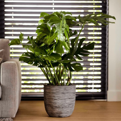 Capi Egg Planter Nature Rib