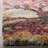 Delma Performance Floral Rug-62872865