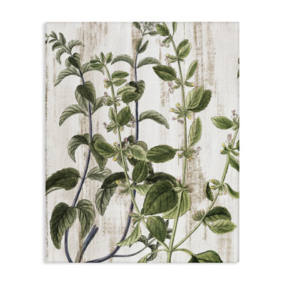 Rustic Botanical Vines Canvas Wall Art by Kim Allen
