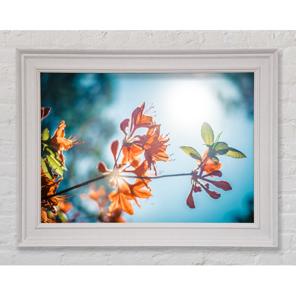 Ebern Designs Sun Shinging Through The Twigs And Leaves - Single ...