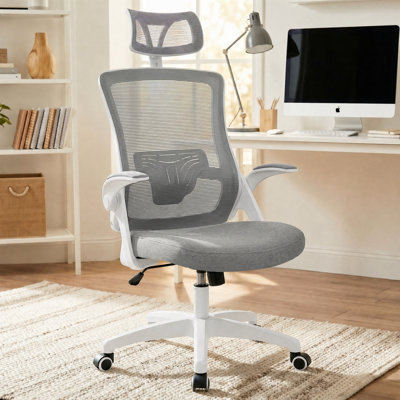 Neeya Ergonomic Mesh Office Chair with Flip-Up Arms