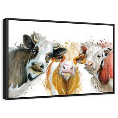 Livestock Cows Splash