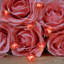 Guirlande 20 lumières à DEL cœur et flèche pour la Saint-Valentin