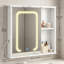 Wall Bathroom Cabinet