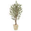 60'' Faux Olive Tree Tree in Planter