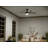 52'' Ceiling Fan with LED Lights-239975205