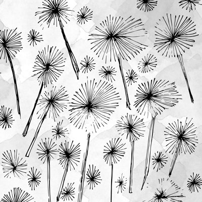 " Julia Da Rocha Black Dandelion "