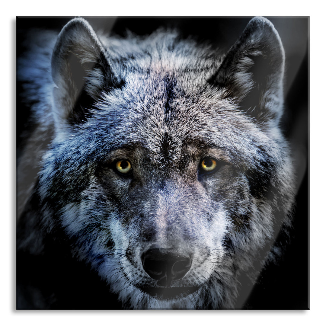 Glasbild Nahaufnahme eines Wolfes mit gelben Augen