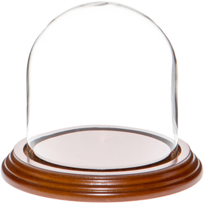 Vucciria Glass Display Dome Cloche