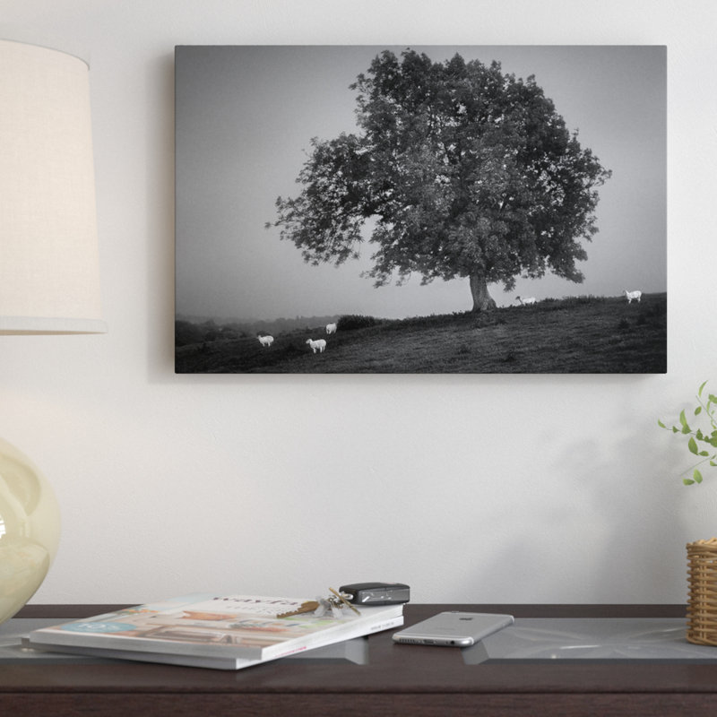 « soirée light i », reproduction de photo sur toile, H 12 po x l 18 po x P 1,5 po, Toile tendue, Pas de tapis