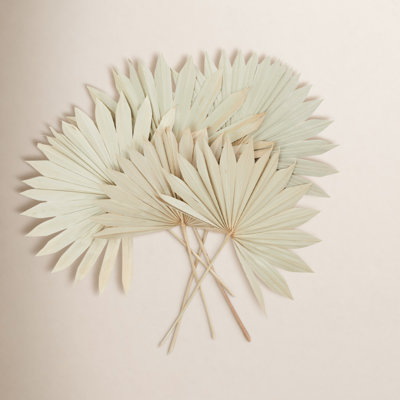 Dried Plant Vase Filler