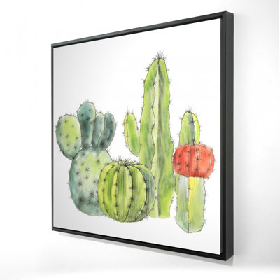 «Rassemblement de petits cactus»