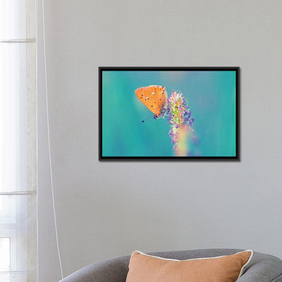 " Small Wonders " by Andreas Stridsberg