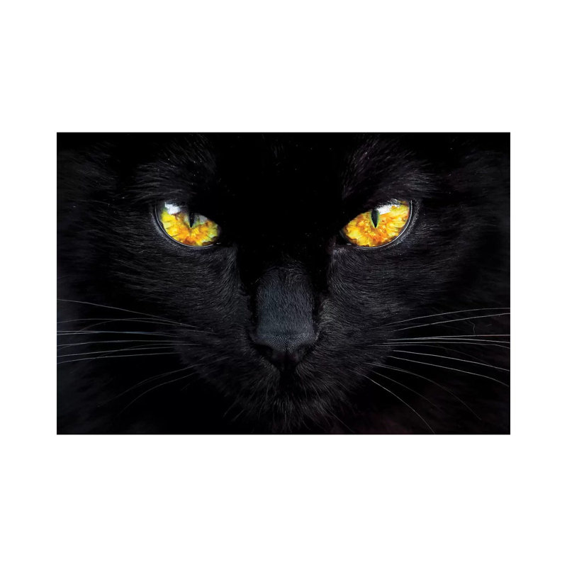 The Hypnotist Of The Night by Ferdinando Valverde - Print on Canvas, 30.48 cm H x 45.72 cm W, No Framed