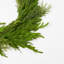 Deluxe Real Touch Winter Greenery With Cypress, Norfolk & Pine Christmas Mantel Garland Holiday Table Runner