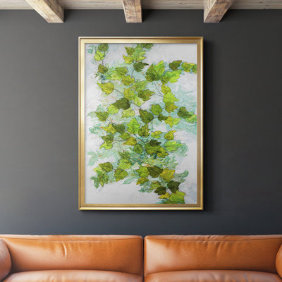 " Ivy "