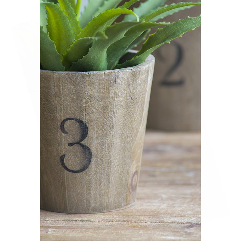 Ensemble de 3 pots à fleurs Thornton / L: 8,3 x 8,3 x 6,5 po / M: 6,8 x 6,8 x 6,1 po / S: 5,3 x 5,3 x 5,1 po