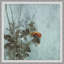 Searching for Light 1 Framed Print Canvas
