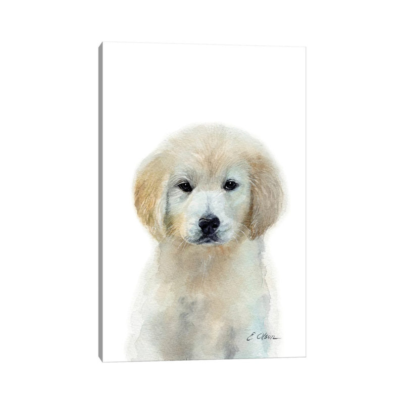 White Golden Retriever Puppy - Wrapped Canvas Painting, 30.48cm H  x  20.32cm W x 1.91cm D