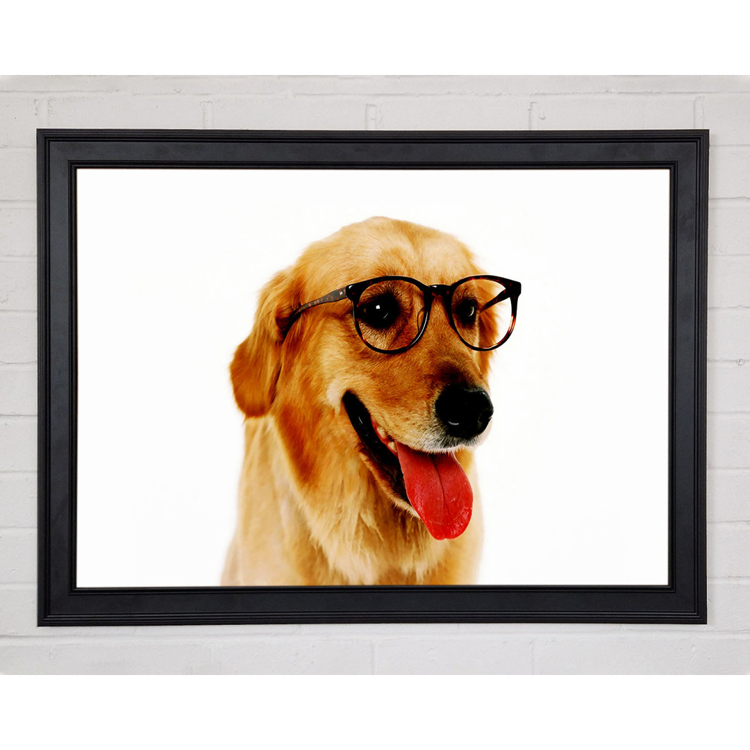 Golden Retriever Nerd Gerahmter Druck