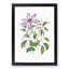 Violet Clematis Flowers - Picture Frame Painting Print-55605556-55605555
