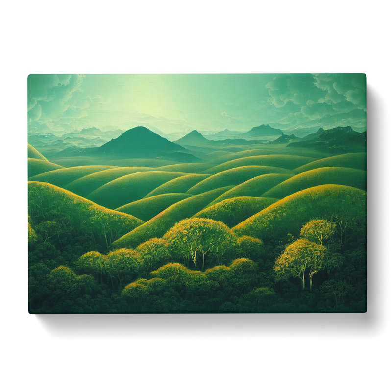 A Striking Summer Forest - Wrapped Canvas, 50cm H x 76cm W x 3cm D