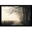 Hyatt Lane par Nicholas Bell - photographie-2025060022-2025060028