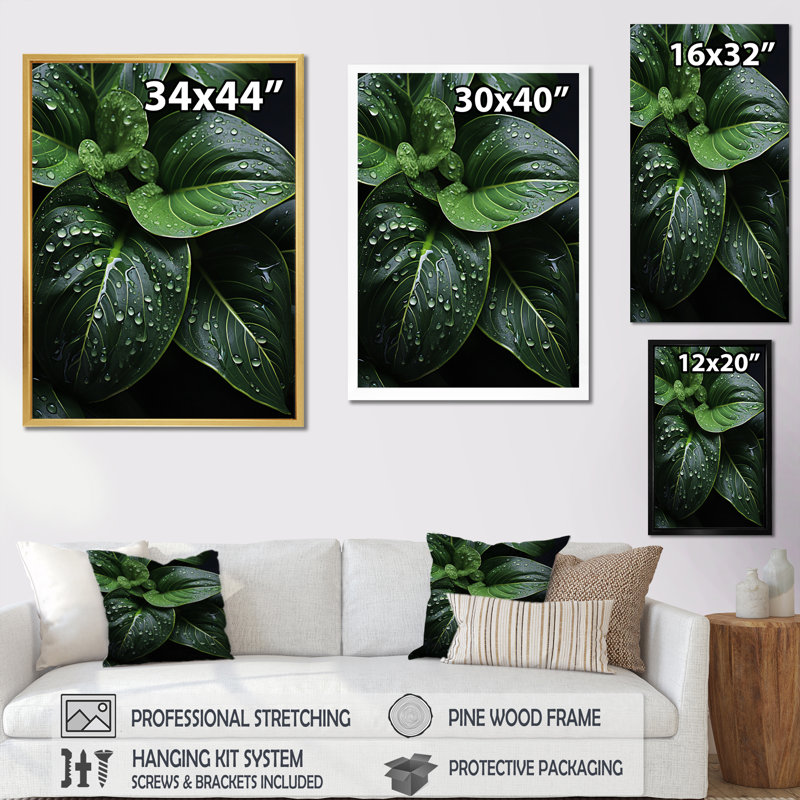 Raindrop Over Green Leafs - Floral & Botanical Canvas Prints, H 32 po x l 24 po x P 1 po, Cadre flottant doré