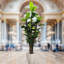 Dracaena Marginata-417982277