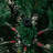 Lighted Christmas Tree-972296107-972296111