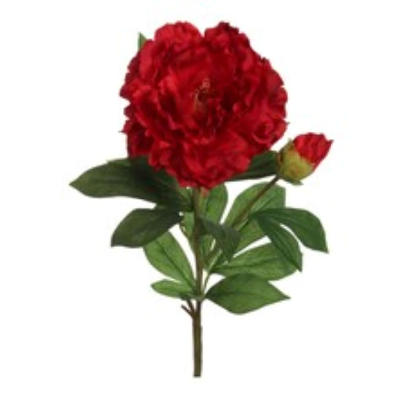 4pc Red 30" Peony Stem
