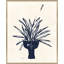 Herbs Giclee Print by Susan Hable