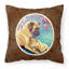  Housse de coussin carré et insert