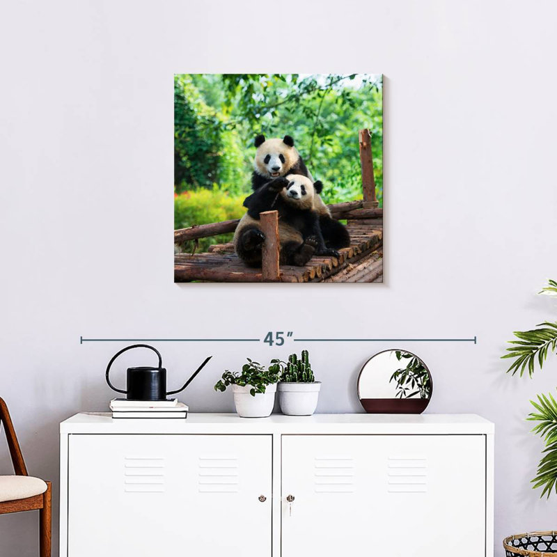 Brampt Panda Twins, 24" H x 24" W
