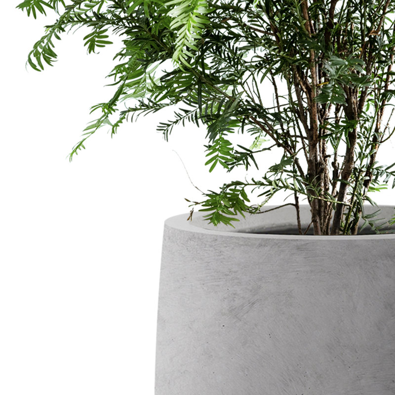 Pot à fleurs en béton Gethsemane, H 21,7 po x l 17 po x P 17 po, Begie
