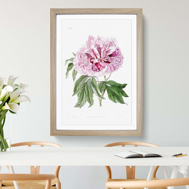 Pink Tree Peony Flower - Picture Frame Painting Print, 65cm H x 48cm W x 2cm D, Oak Framed