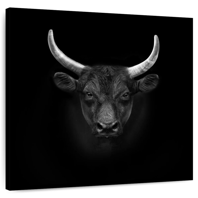 Tête de taureau noir Crowle, H 24 po x l 24 po