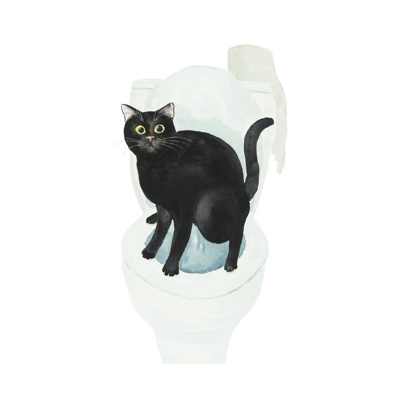 Black Cat On The Toilet by Alexey Dmitrievich Shmyrov - Wrapped Canvas Print, 20.32 cm H x 30.48 cm W