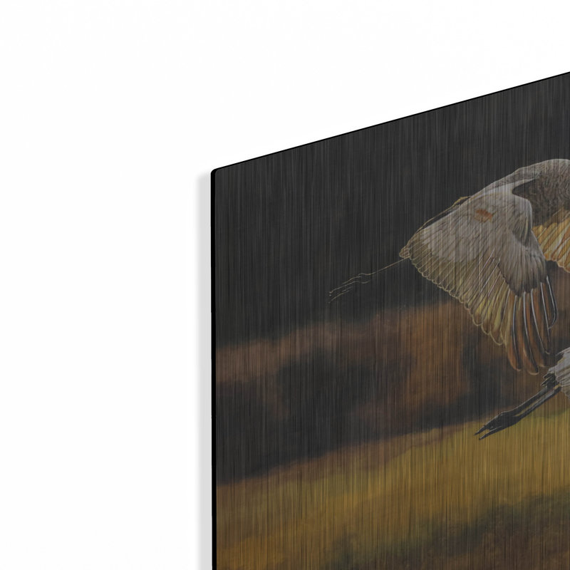 Art mural en métal luxueux «Sunlit Sandhill Wings» par Jim Brune, 24 po x 12 po, H 12 po x l 24 po