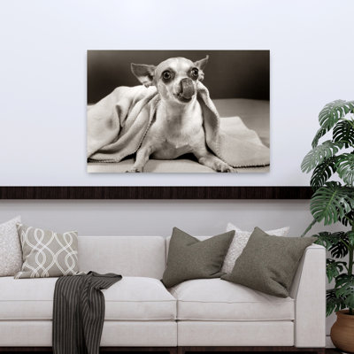 Mexican Chihuahua Dog Under Blanket Licking His Nose Tongue Classic Retro Vintage Dog Wall Art