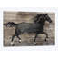 « barnwood cheval », impression sur toile-32591716-72113971-72116019