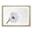 Flower Sketch - Framed Print-56713621-56713622
