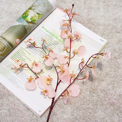 Orchid Arrangement