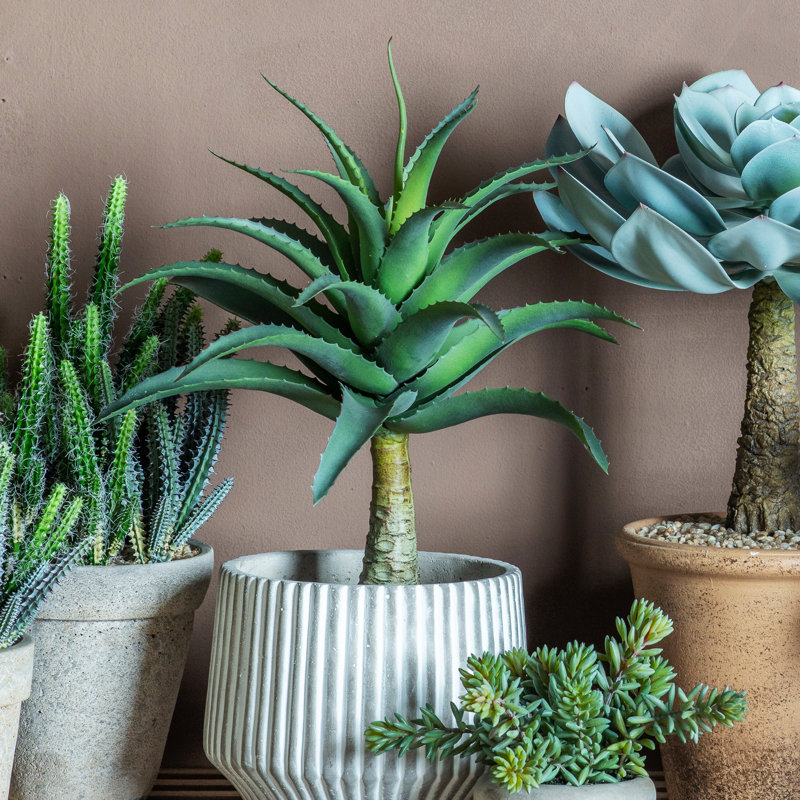 57cm Faux Succulent Plant in Pot Liner